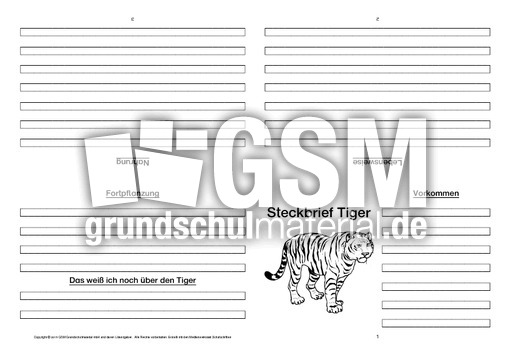 Tiger-Faltbuch-vierseitig-4.pdf